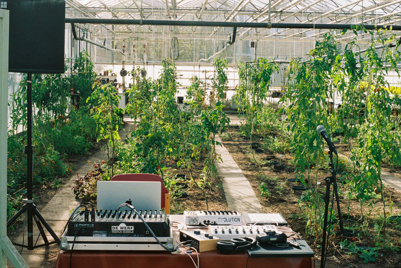 Mixing desk, laptop, synthesizers and a microphone set up among tomato plants in a greenhouse